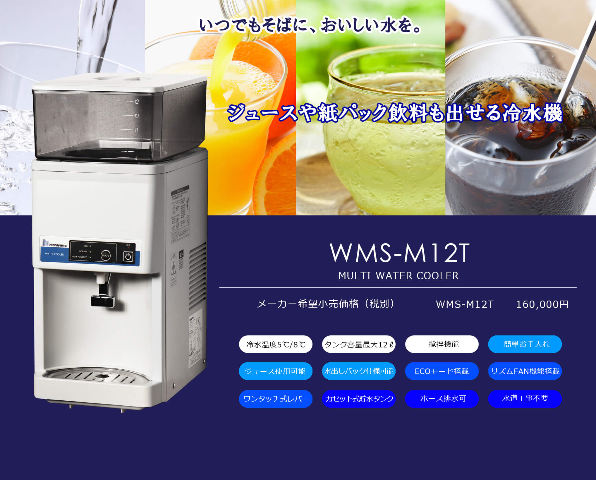 WMS-M12T