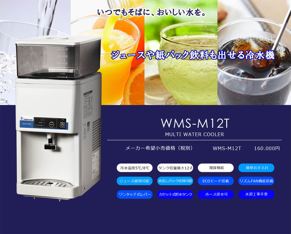 WMS-M12T
